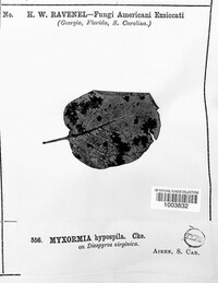 Image Associated With the Occurence